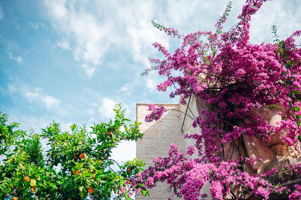 Tenuta Tresca Suites - Dimora Storica San Cassiano  エクステリア 写真